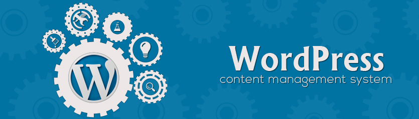 Ready and Safe To Use – WordPress 3.4.2 Released with Security Fixes